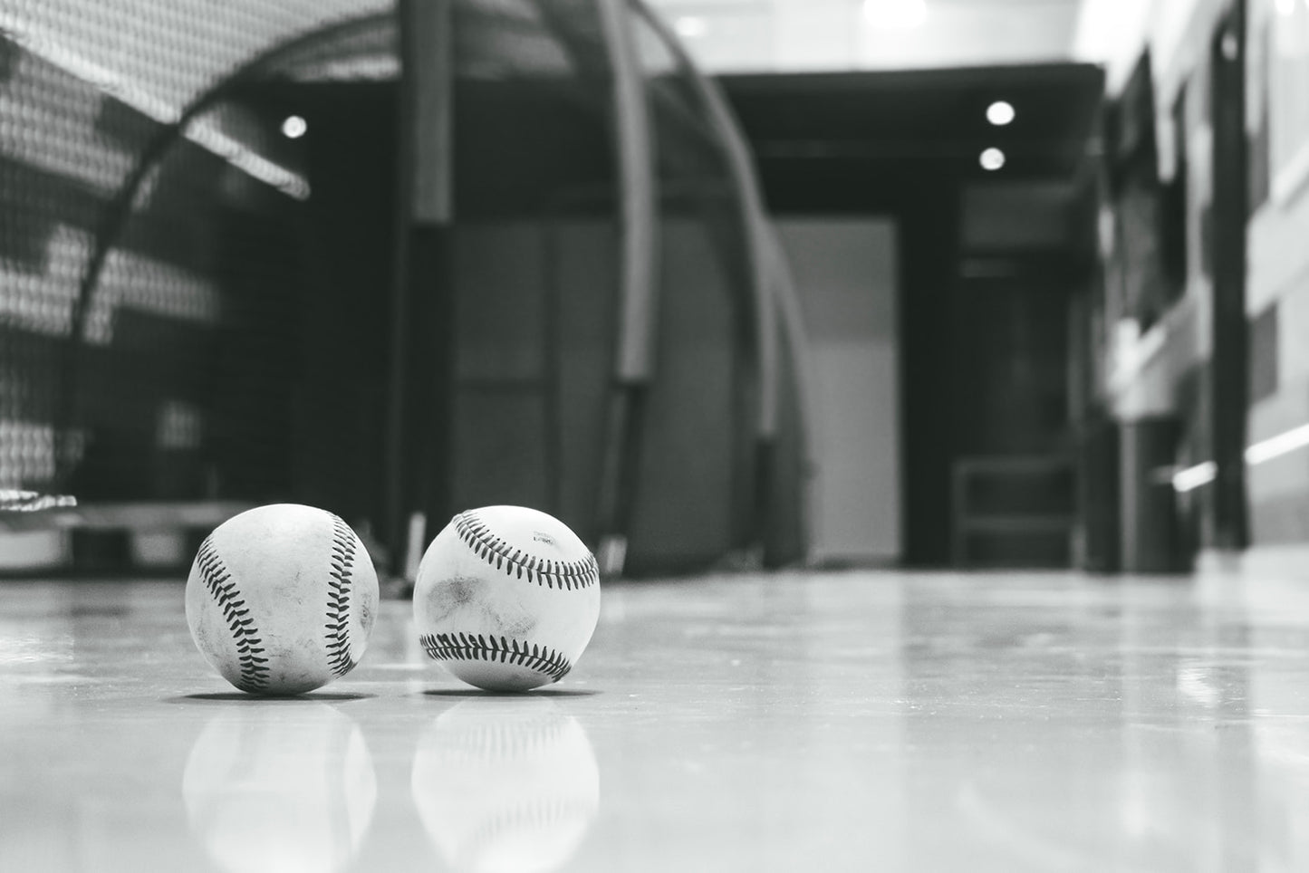 Batting Cage, Pickleball, badminton. Fri-Sun. 80 min rental $90 (2 hr time slots)
