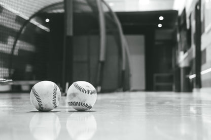 Batting Cage, Pickleball, badminton. Fri-Sun. 80 min rental $90 (2 hr time slots)